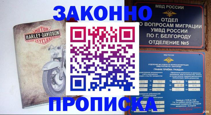 прописка для школы в Братске
